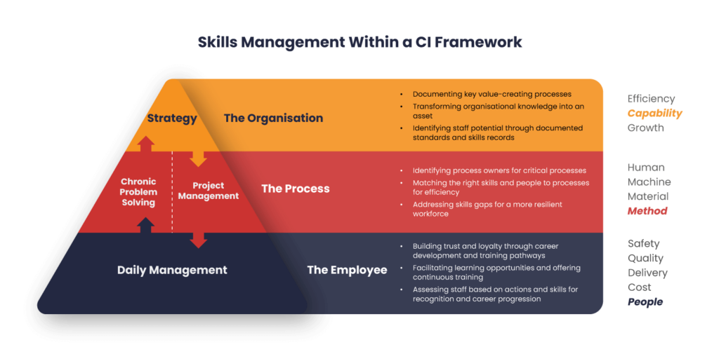 Skills Management Within a Continuous Improvement Framework